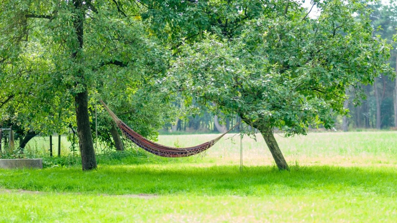 B&B Erve Ten Dam Ambt Delden Exteriör bild